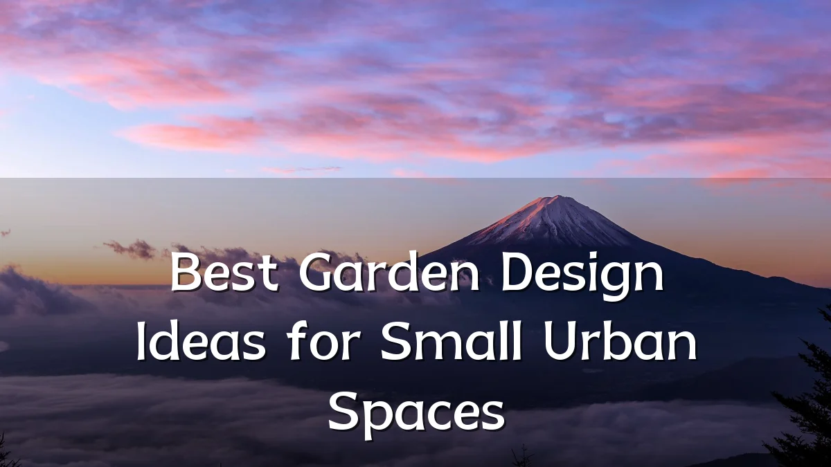 Best Garden Design Ideas for Small Urban Spaces