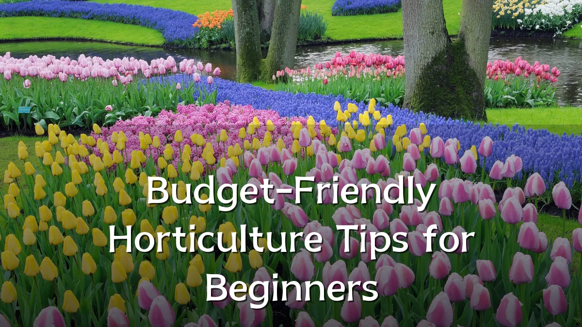 Budget-Friendly Horticulture Tips for Beginners