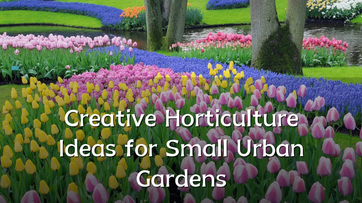 Creative Horticulture Ideas for Small Urban Gardens