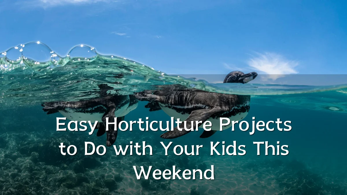 Easy Horticulture Projects to Do with Your Kids This Weekend