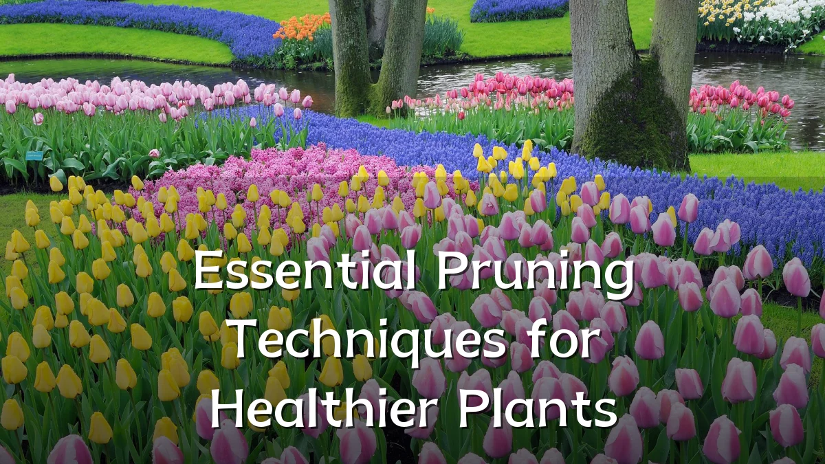 Essential Pruning Techniques for Healthier Plants