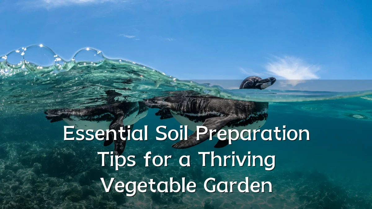 Essential Soil Preparation Tips for a Thriving Vegetable Garden