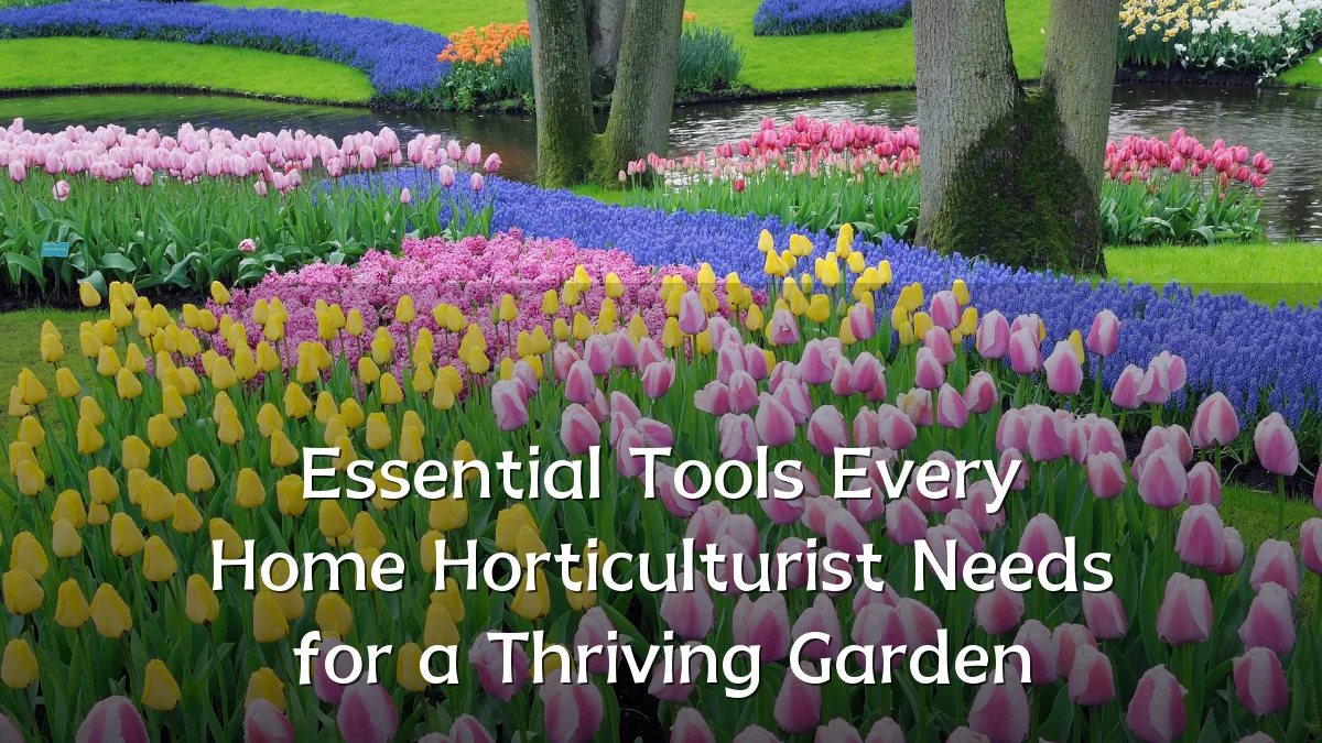 Essential Tools Every Home Horticulturist Needs for a Thriving Garden