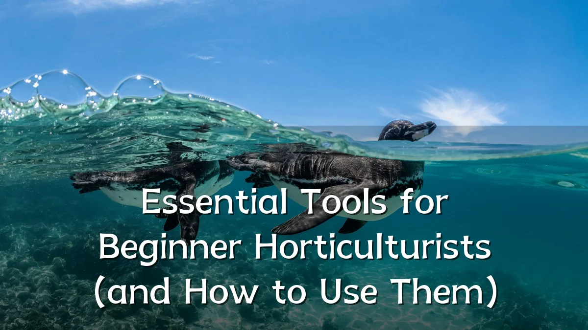 Essential Tools for Beginner Horticulturists (and How to Use Them)