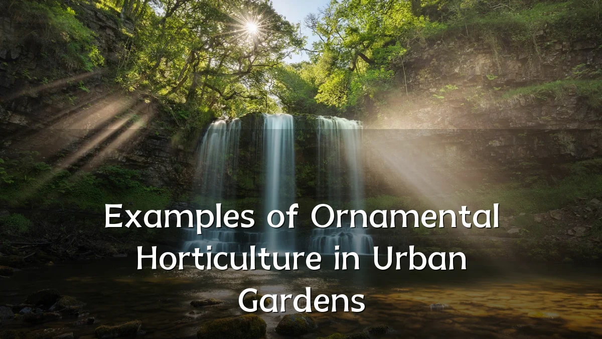 Examples of Ornamental Horticulture in Urban Gardens