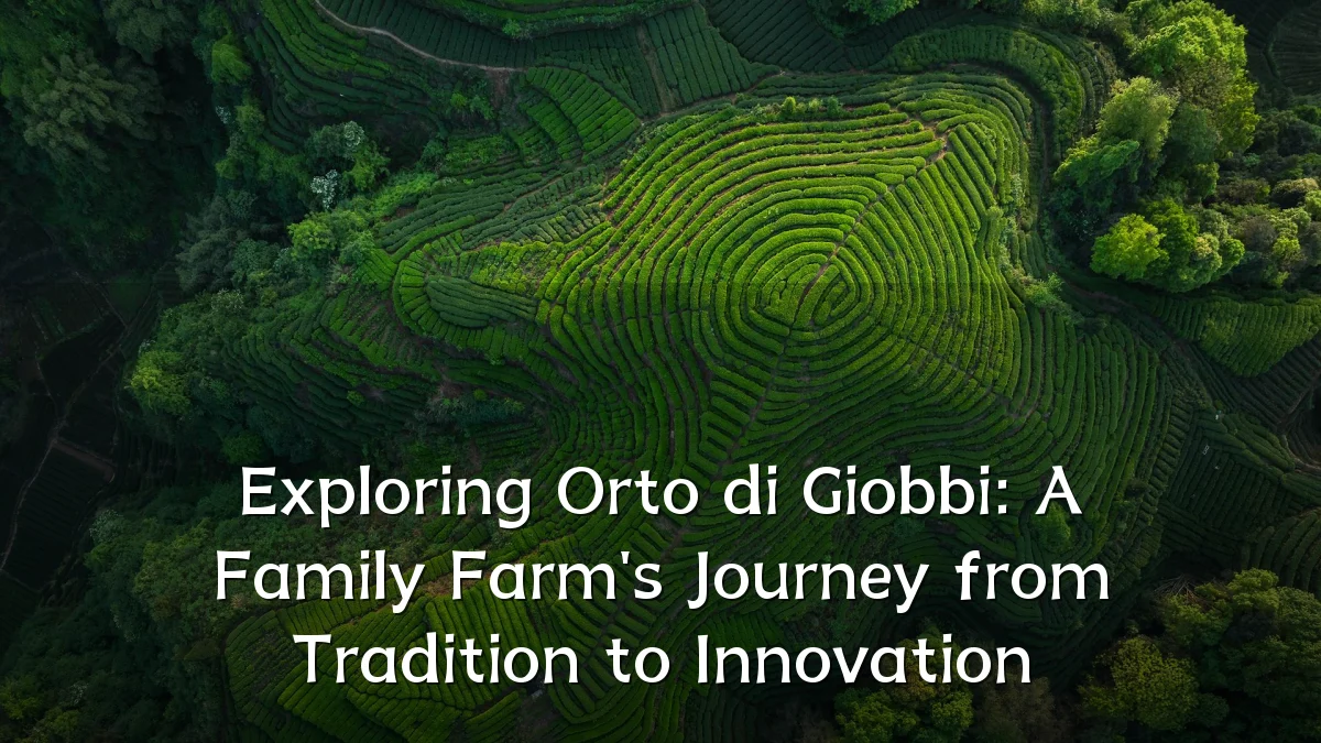 Exploring Orto di Giobbi: A Family Farm's Journey from Tradition to Innovation