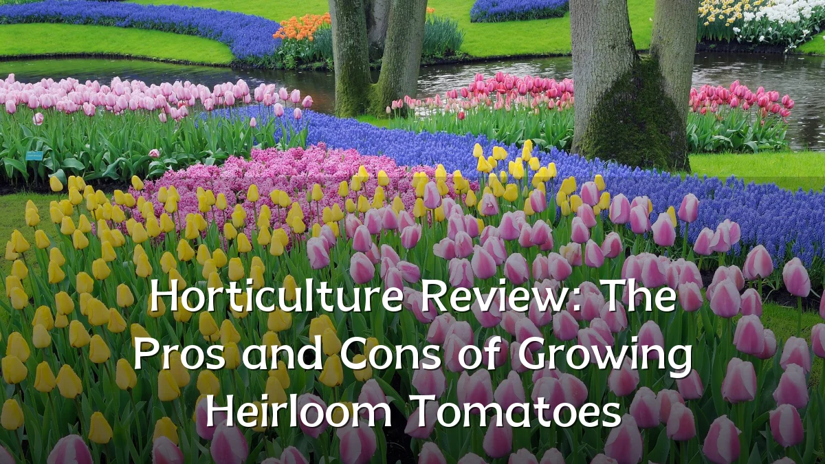 Horticulture Review: The Pros and Cons of Growing Heirloom Tomatoes