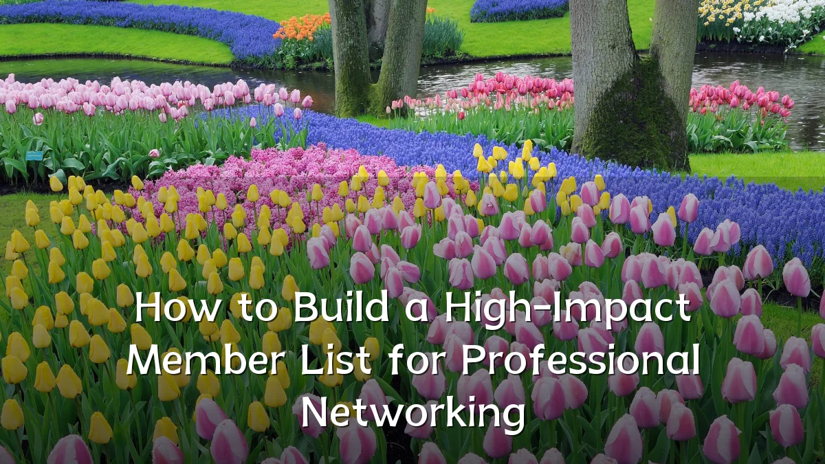 How to Build a High-Impact Member List for Professional Networking