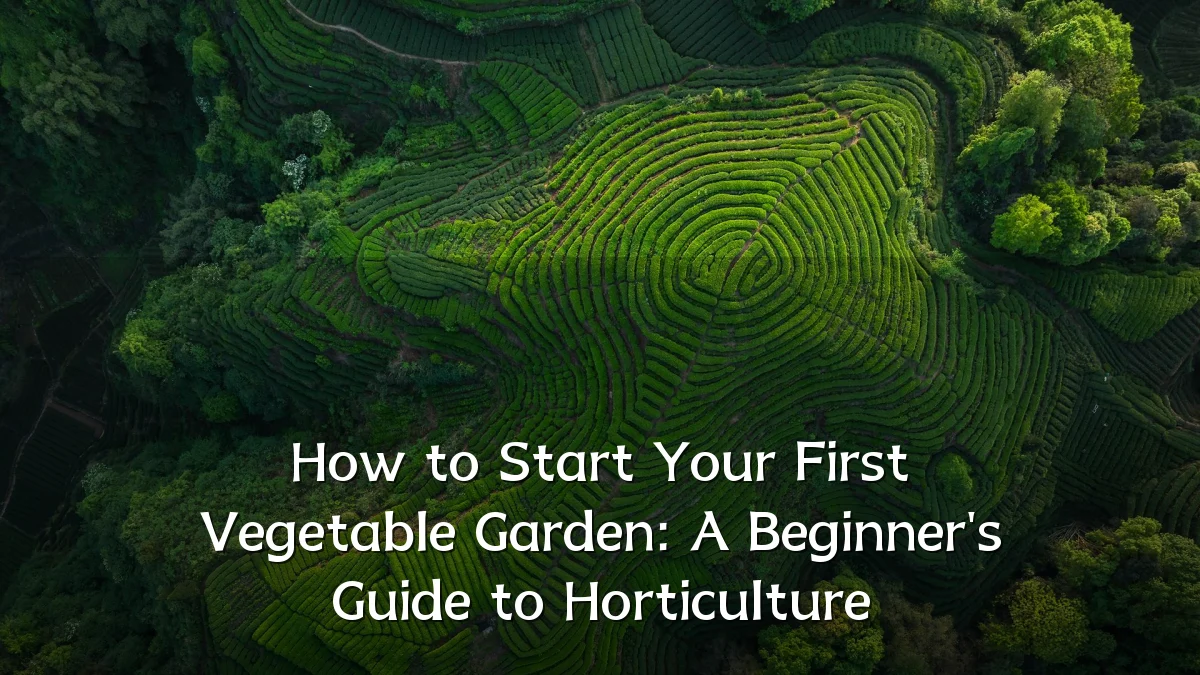 How to Start Your First Vegetable Garden: A Beginner's Guide to Horticulture