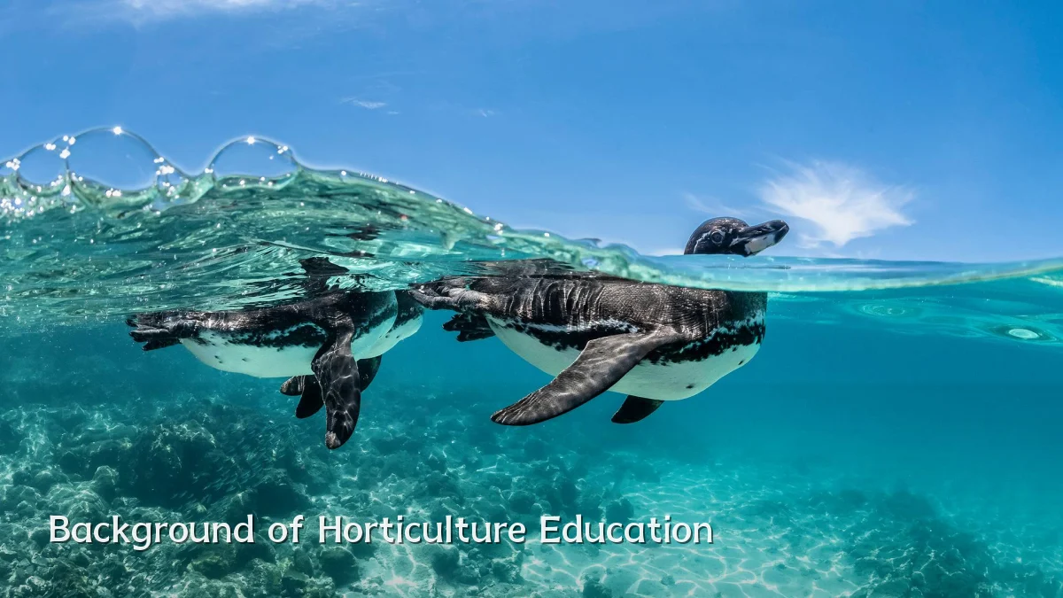 Background of Horticulture Education