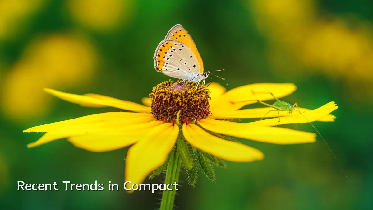 Recent Trends in Compact