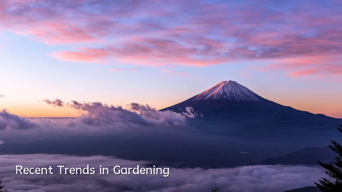 Recent Trends in Gardening
