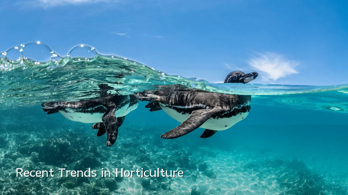 Recent Trends in Horticulture
