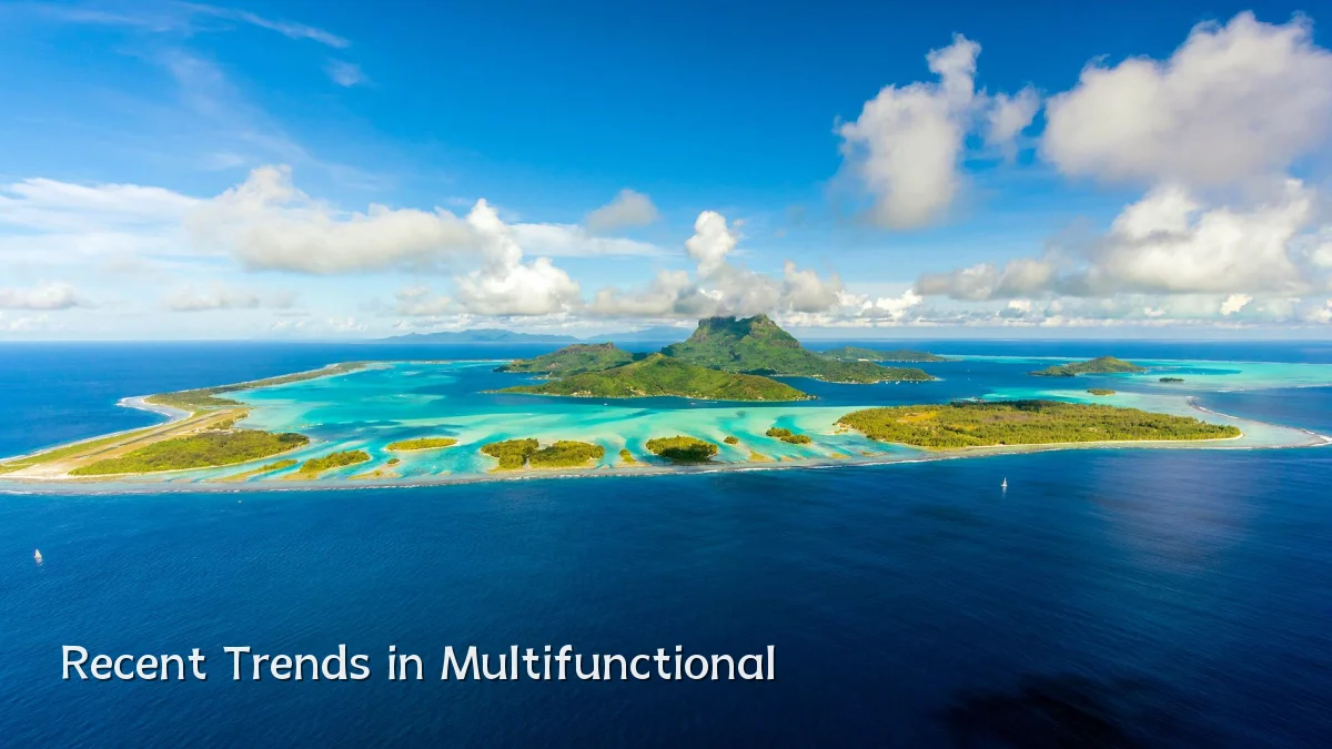 Recent Trends in Multifunctional