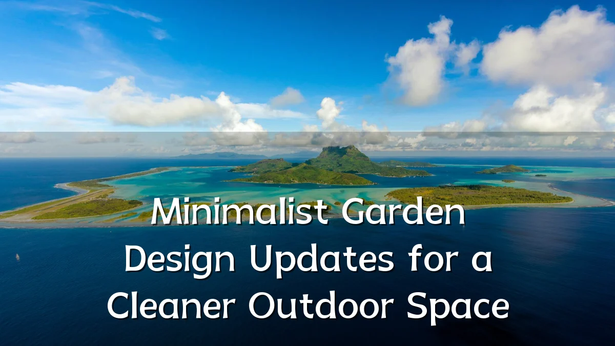 Minimalist Garden Design Updates for a Cleaner Outdoor Space