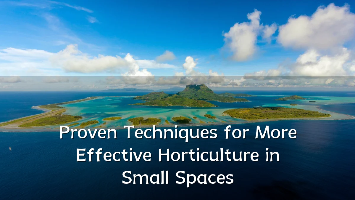 Proven Techniques for More Effective Horticulture in Small Spaces