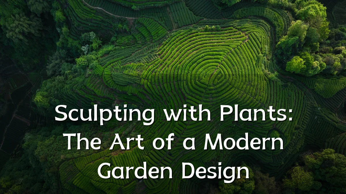 Sculpting with Plants: The Art of a Modern Garden Design