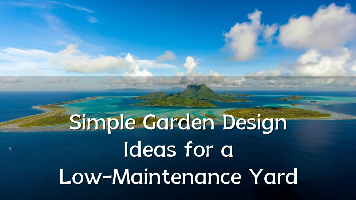 Simple Garden Design Ideas for a Low-Maintenance Yard