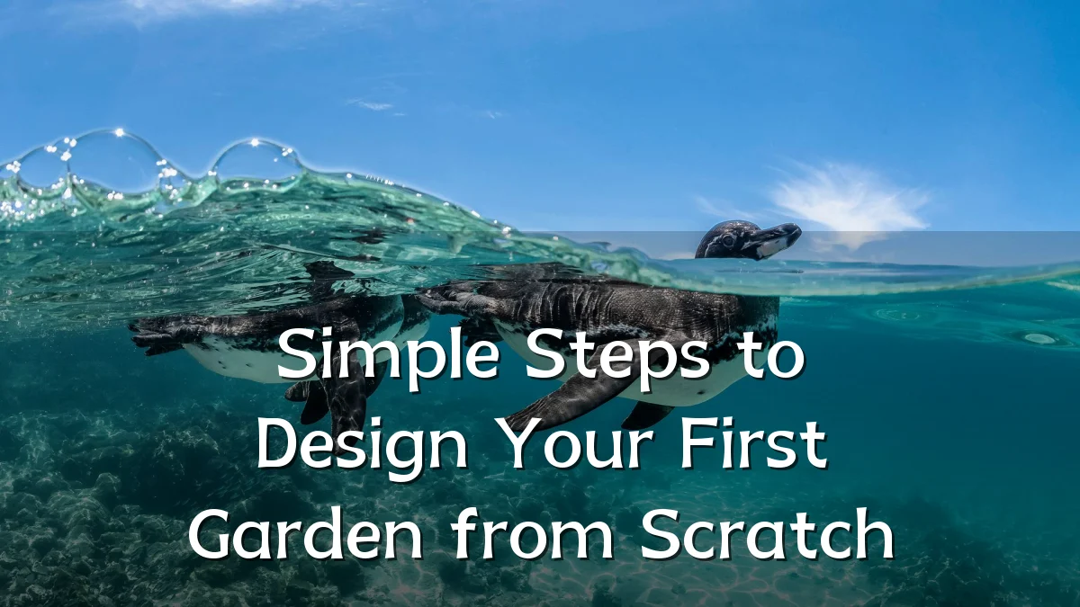 Simple Steps to Design Your First Garden from Scratch