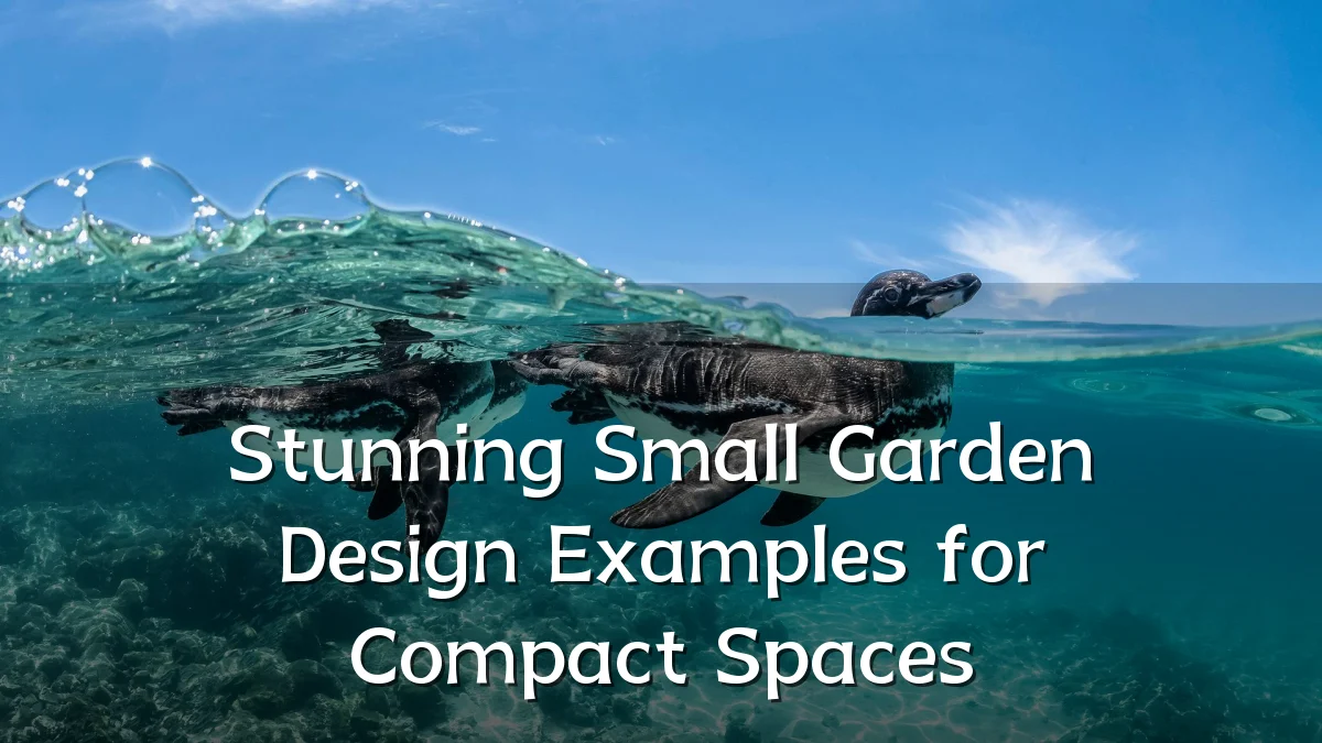 Stunning Small Garden Design Examples for Compact Spaces