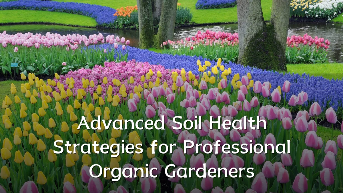 Advanced Soil Health Strategies for Professional Organic Gardeners
