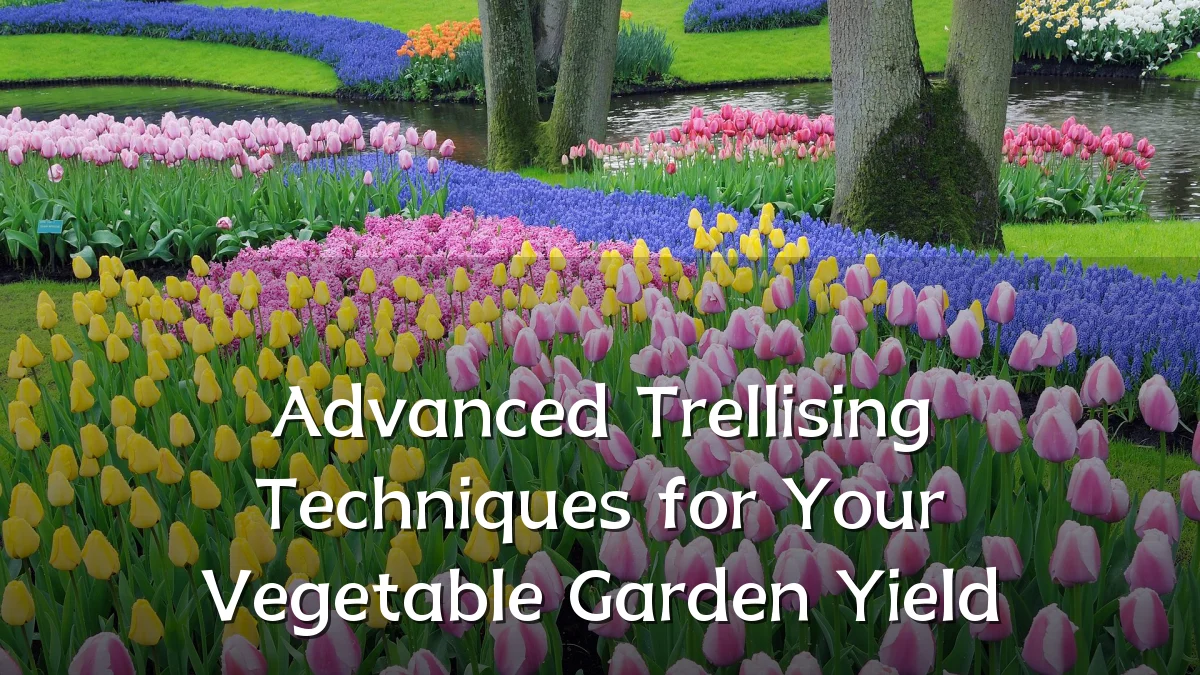 Advanced Trellising Techniques for Your Vegetable Garden Yield