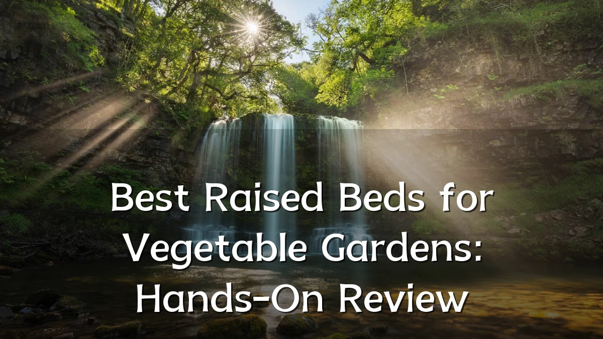 Best Raised Beds for Vegetable Gardens: Hands-On Review