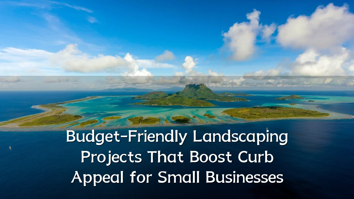 Budget-Friendly Landscaping Projects That Boost Curb Appeal for Small Businesses