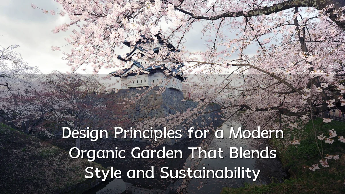 Design Principles for a Modern Organic Garden That Blends Style and Sustainability