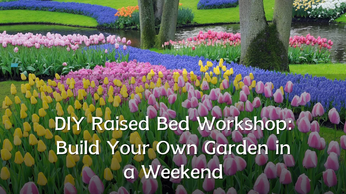 DIY Raised Bed Workshop: Build Your Own Garden in a Weekend