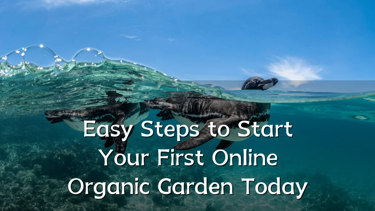Easy Steps to Start Your First Online Organic Garden Today