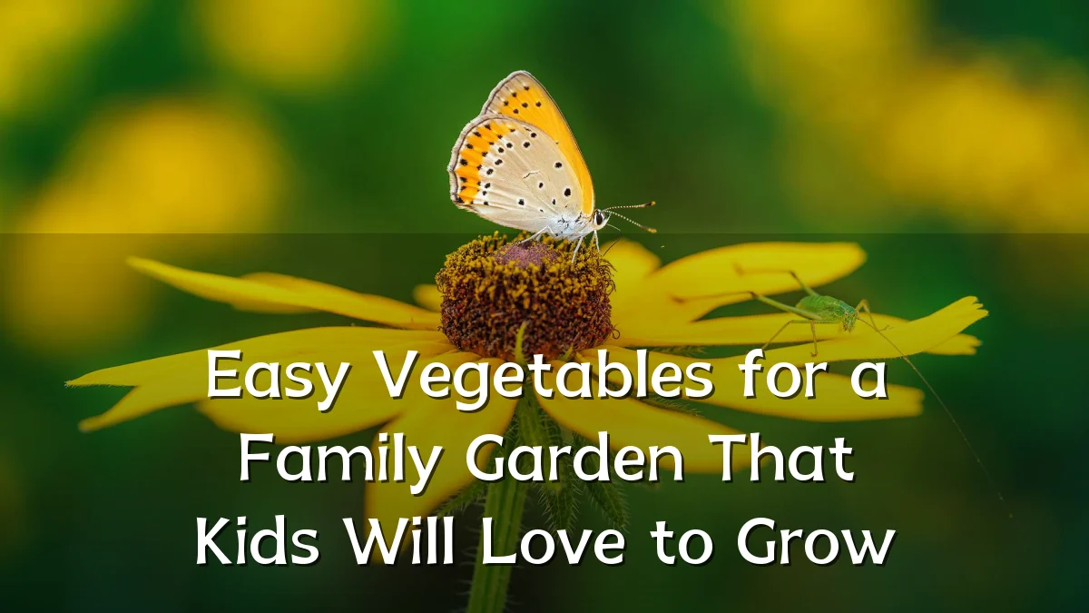 Easy Vegetables for a Family Garden That Kids Will Love to Grow