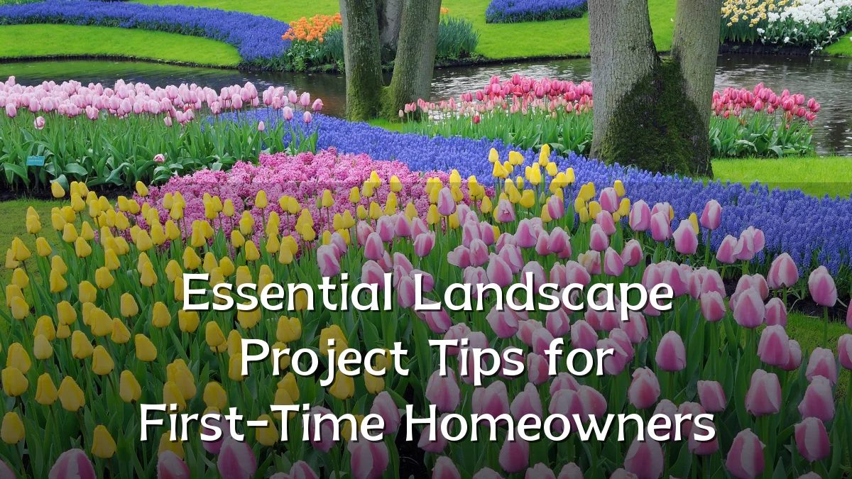 Essential Landscape Project Tips for First-Time Homeowners