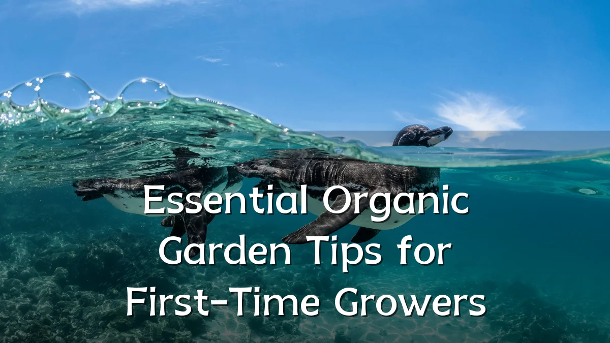 Essential Organic Garden Tips for First-Time Growers