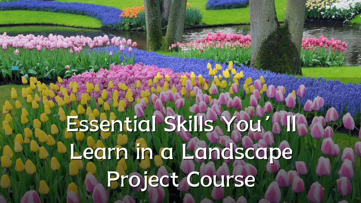 Essential Skills You’ll Learn in a Landscape Project Course