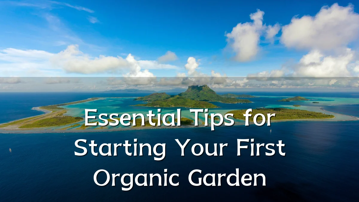 Essential Tips for Starting Your First Organic Garden