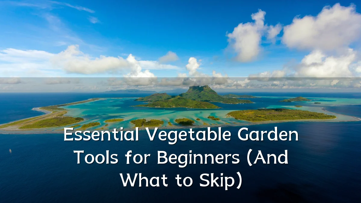 Essential Vegetable Garden Tools for Beginners (And What to Skip)