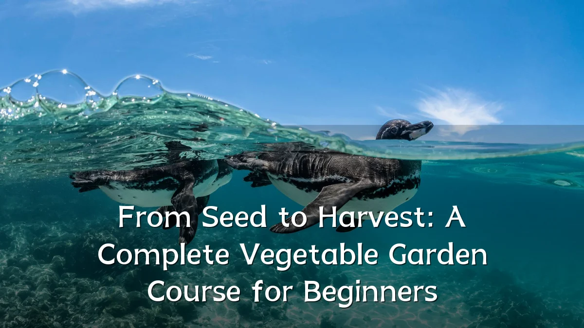 From Seed to Harvest: A Complete Vegetable Garden Course for Beginners