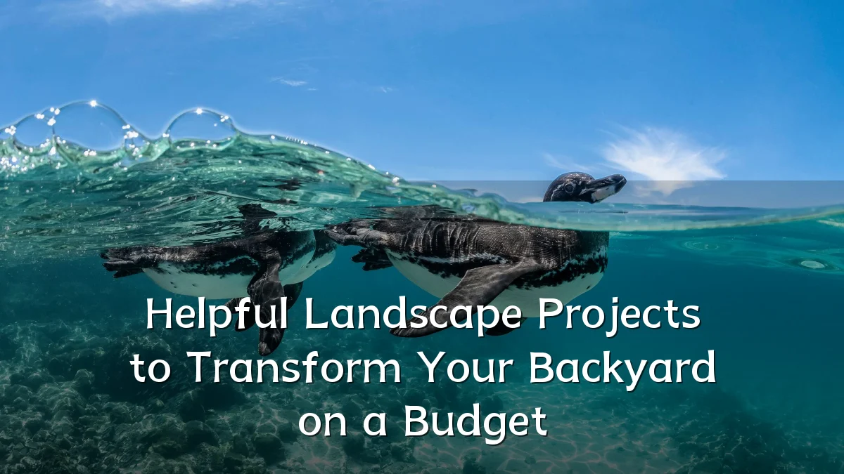 Helpful Landscape Projects to Transform Your Backyard on a Budget