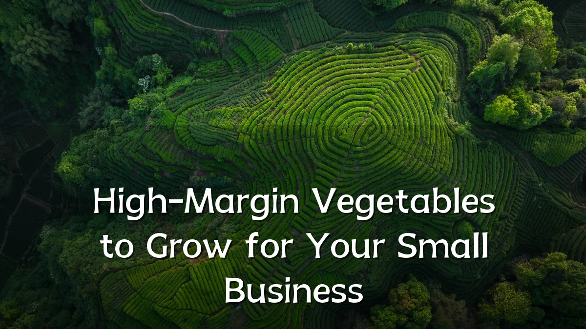 High-Margin Vegetables to Grow for Your Small Business