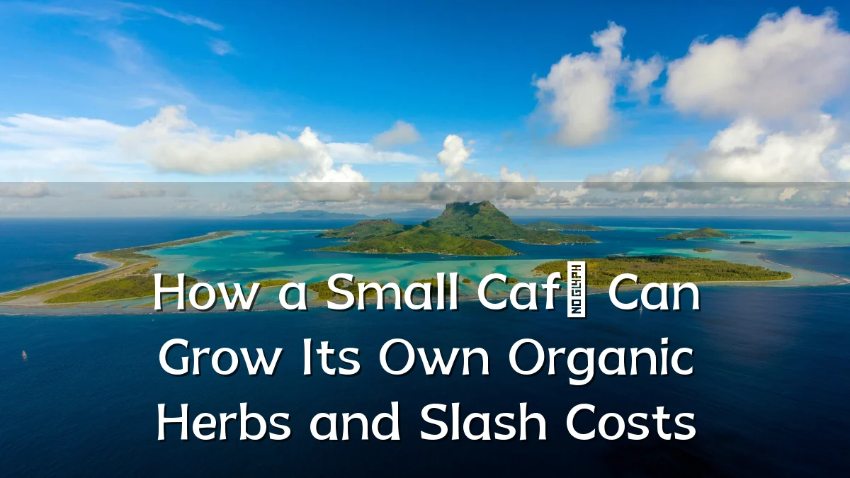 How a Small Café Can Grow Its Own Organic Herbs and Slash Costs