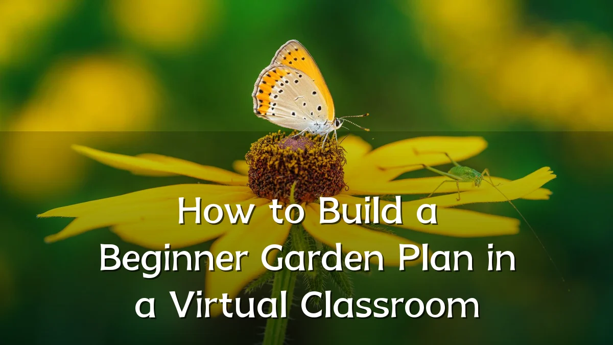 How to Build a Beginner Garden Plan in a Virtual Classroom