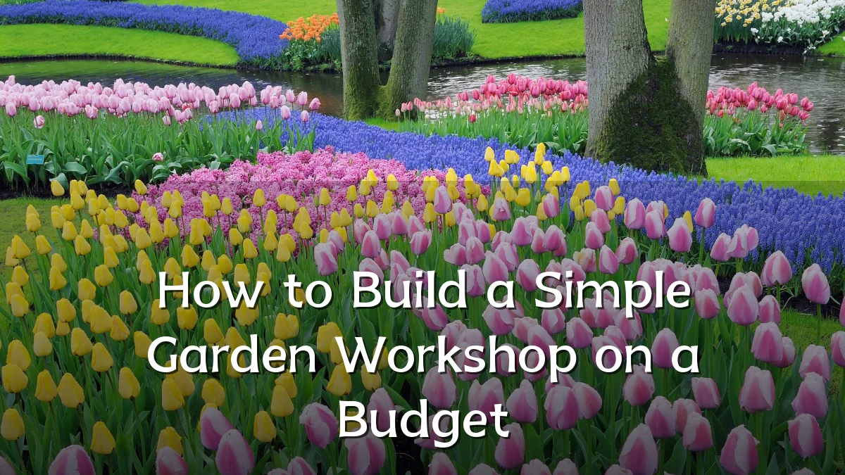 How to Build a Simple Garden Workshop on a Budget