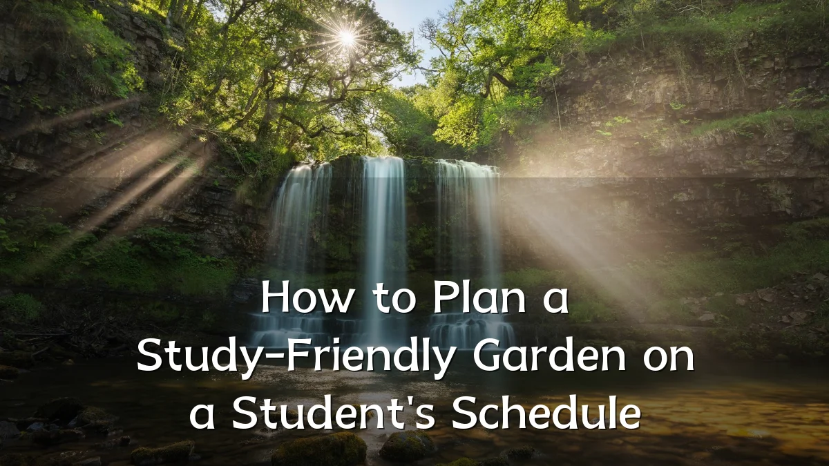 How to Plan a Study-Friendly Garden on a Student's Schedule