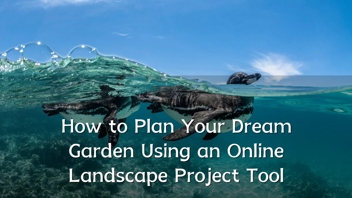 How to Plan Your Dream Garden Using an Online Landscape Project Tool