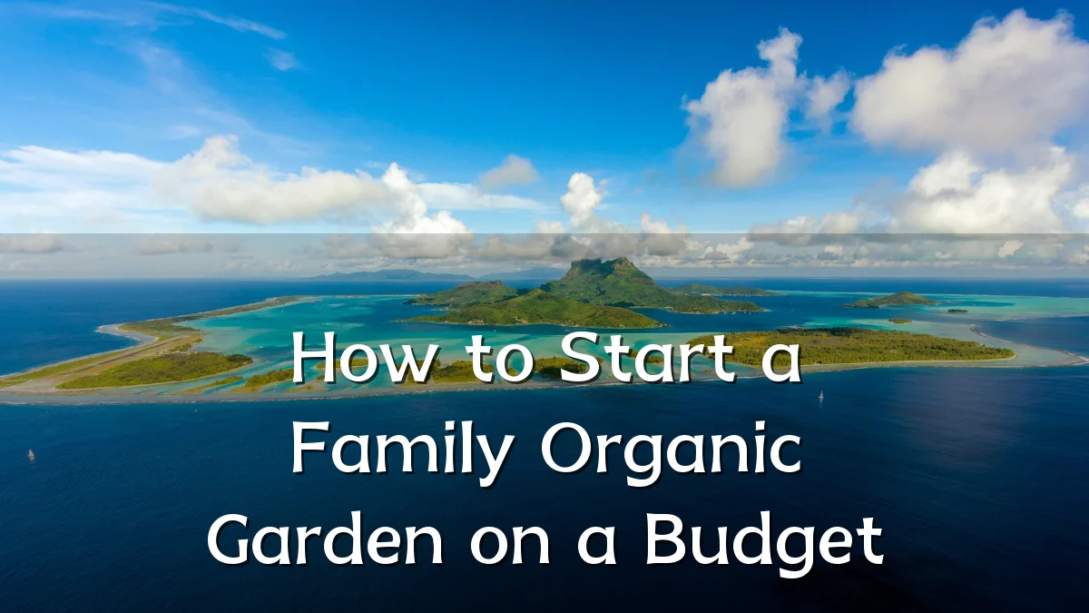 How to Start a Family Organic Garden on a Budget