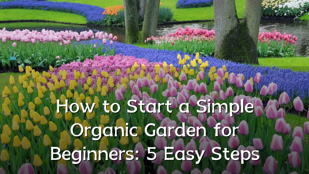 How to Start a Simple Organic Garden for Beginners: 5 Easy Steps