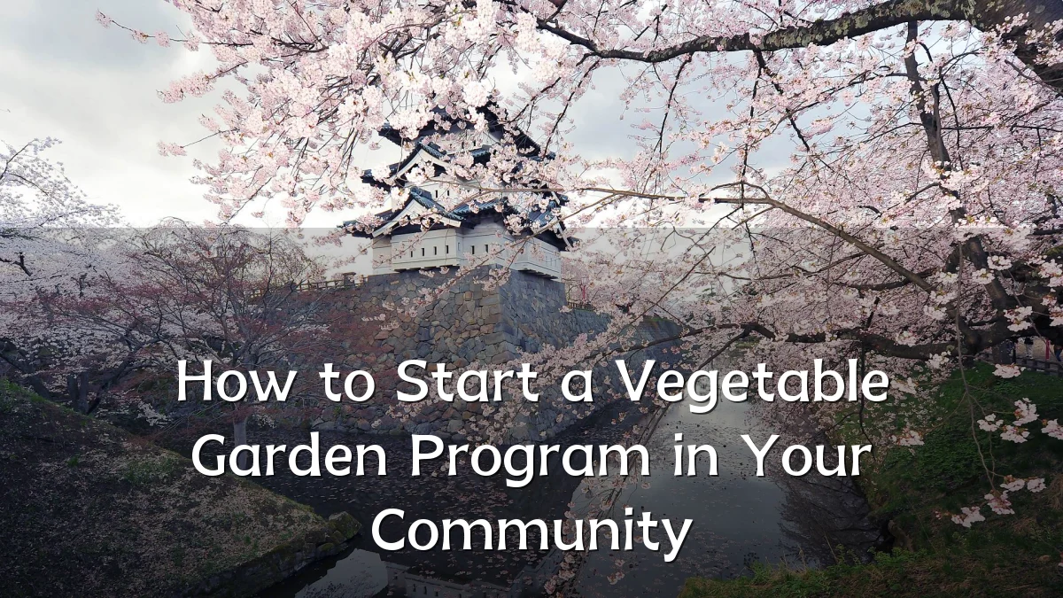 How to Start a Vegetable Garden Program in Your Community