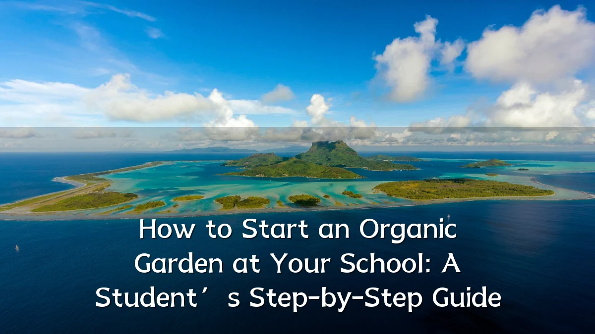 How to Start an Organic Garden at Your School: A Student’s Step-by-Step Guide