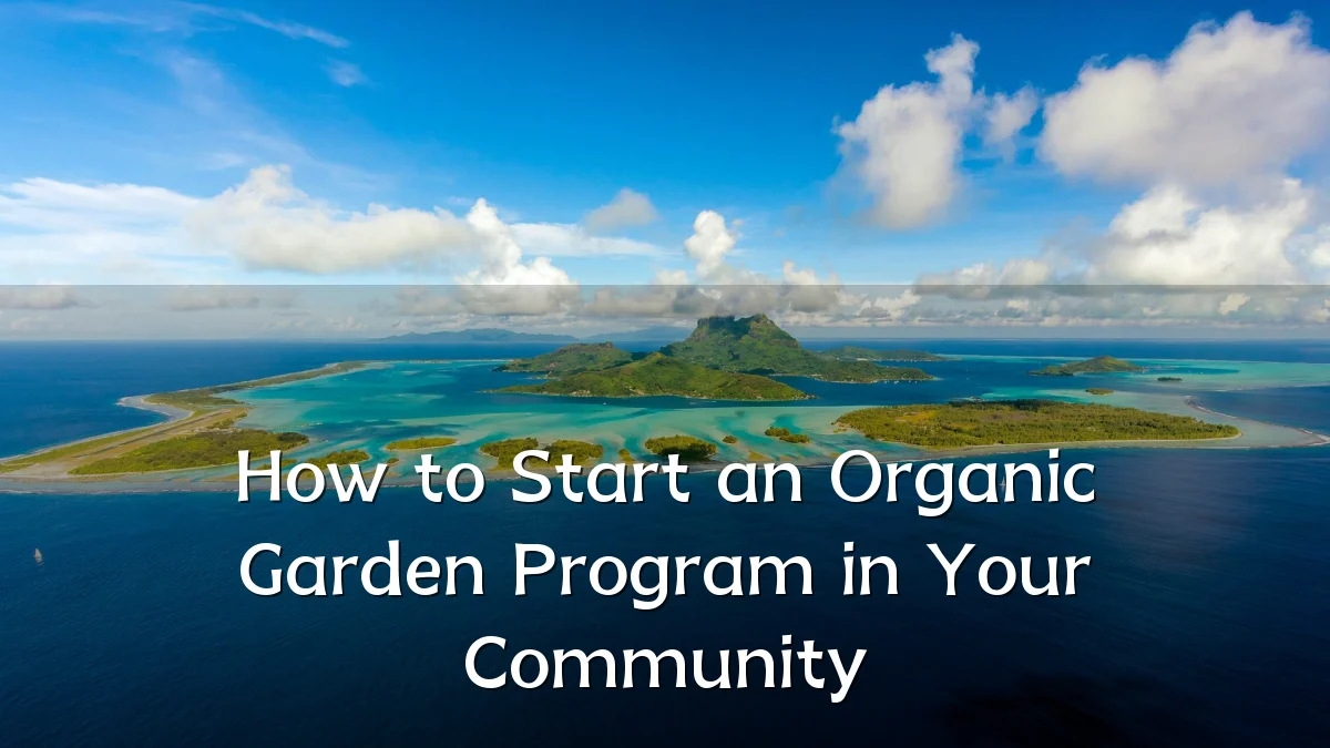 How to Start an Organic Garden Program in Your Community